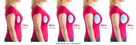 medium size boobs|Breast Size Comparison Side by Side